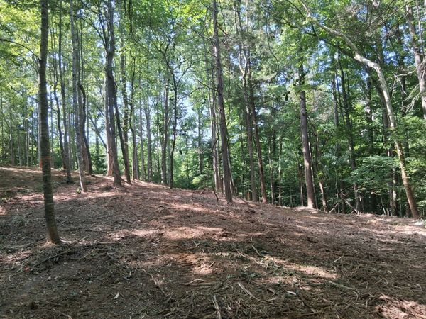 746 October Drive , Unit 746, Smithville, TN 37166