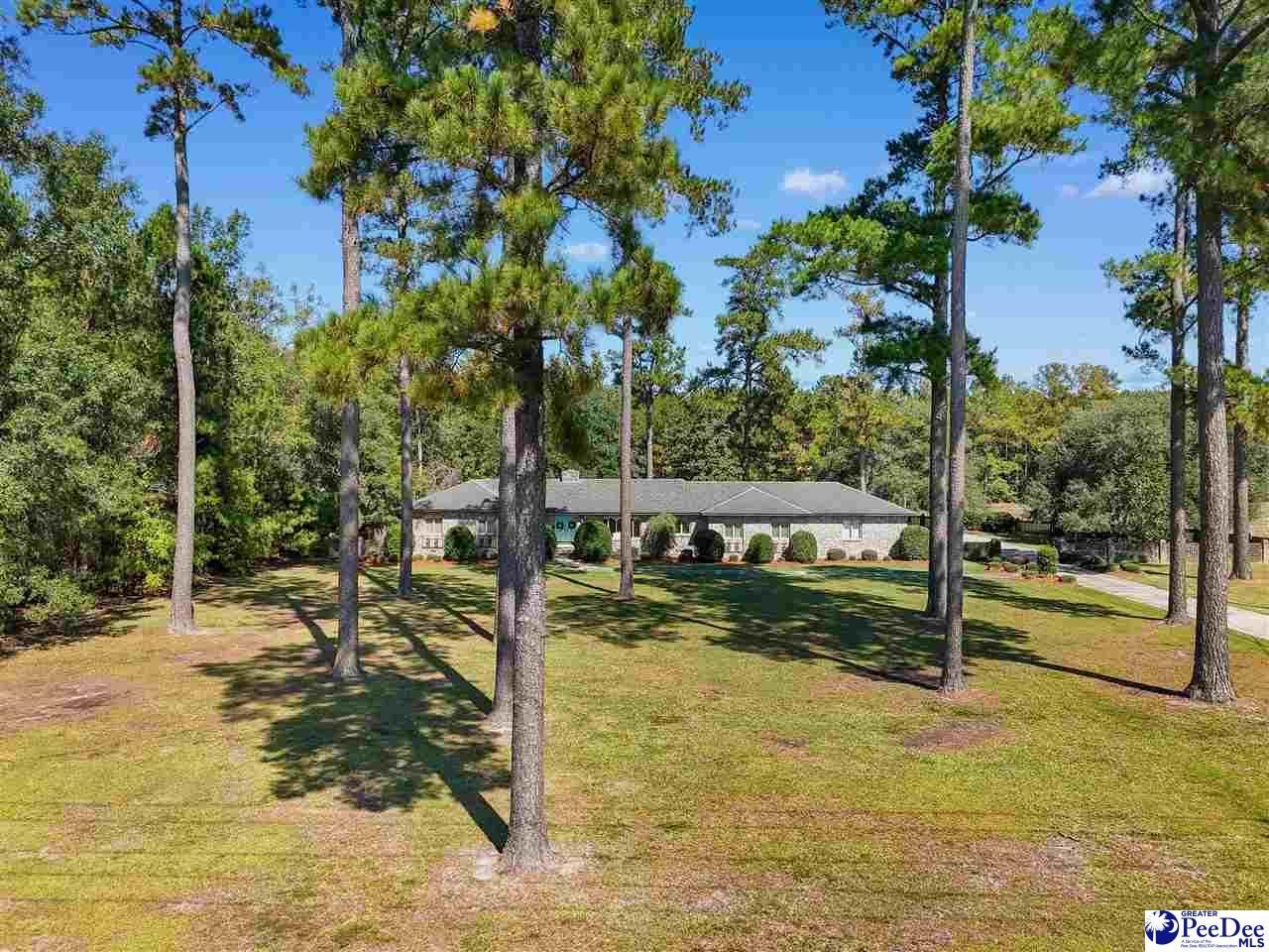 2529 Olanta Highway Photo 48
