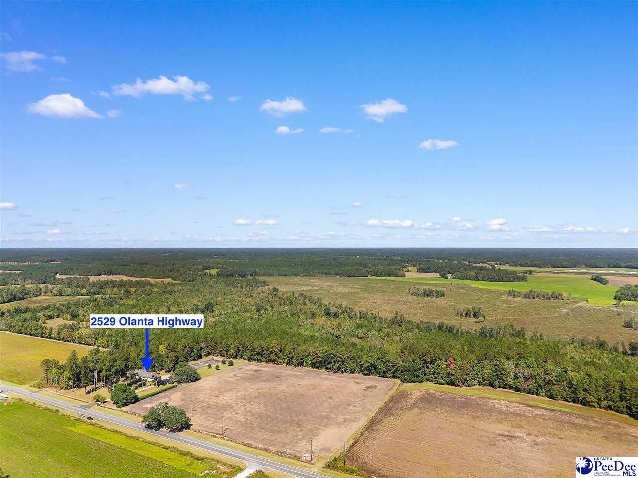 2529 Olanta Highway Photo 51