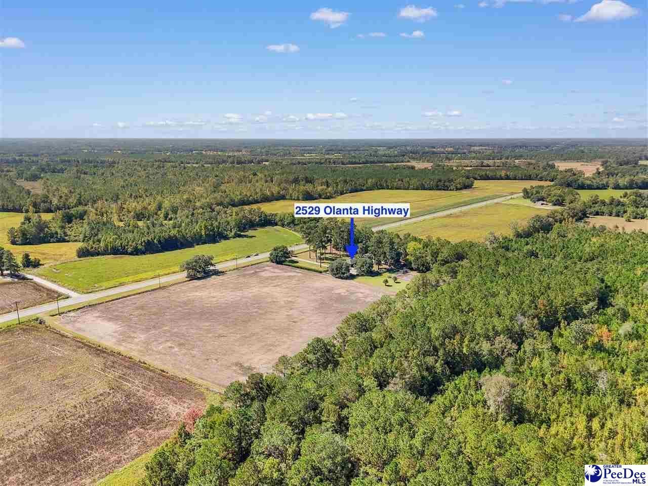 2529 Olanta Highway Photo 55