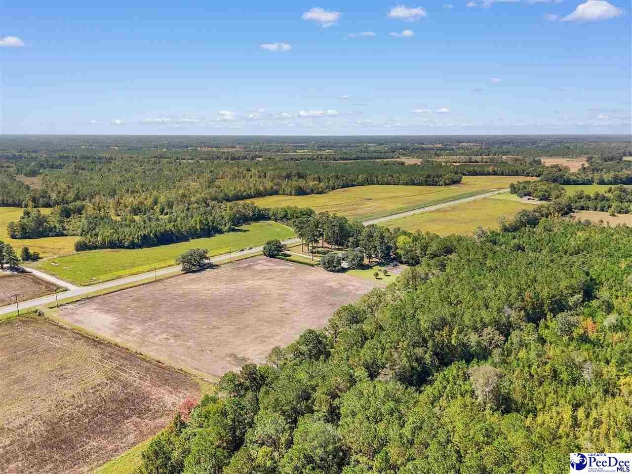 2529 Olanta Highway Photo 56