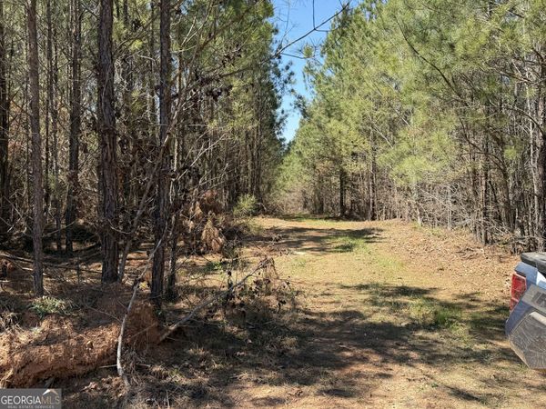 0 County Road 79, Wadley, AL 36276
