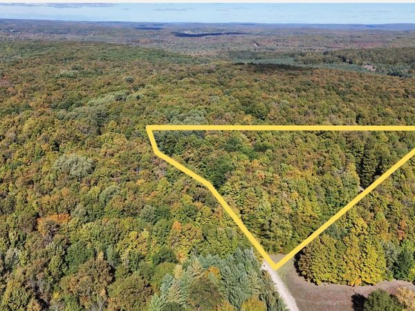 Edelweiss Drive, Bellaire, MI 49615
