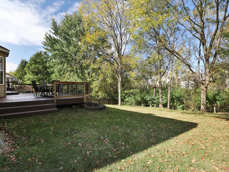 231 Crystal Petal Drive, Delaware, OH 43015 Photo 47