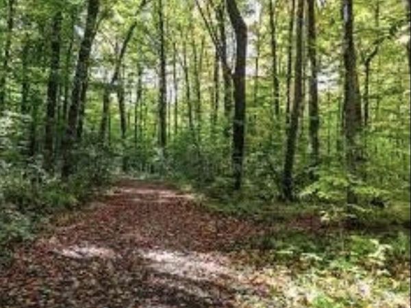 Lot # 1 Ambassador Shores , Leitchfield, KY 72754