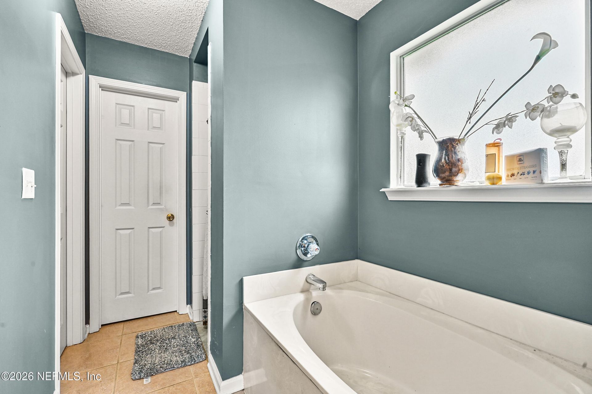 2660 Ravine Hill Drive, Middleburg, FL 32068 Photo