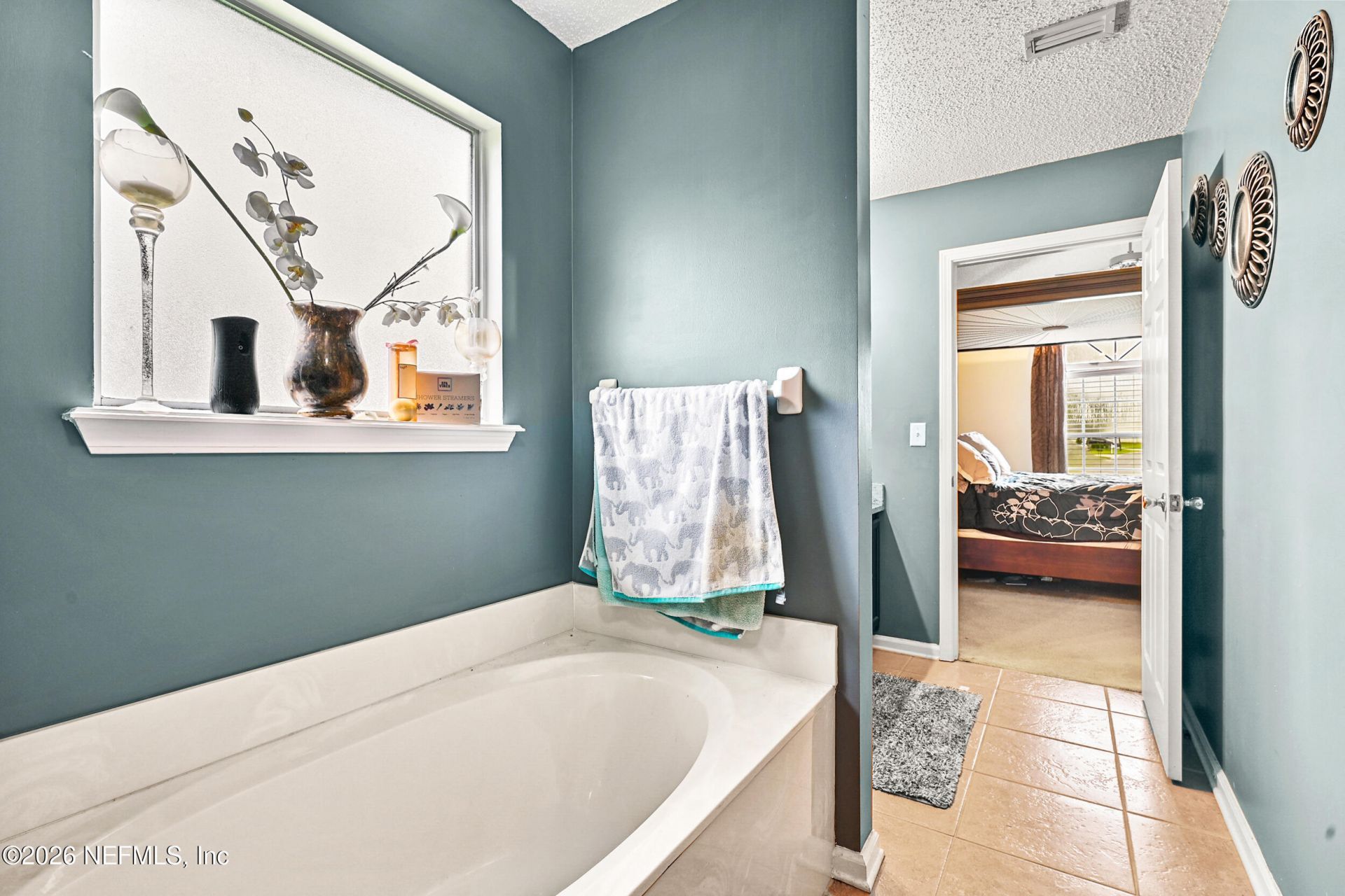 2660 Ravine Hill Drive, Middleburg, FL 32068 Photo