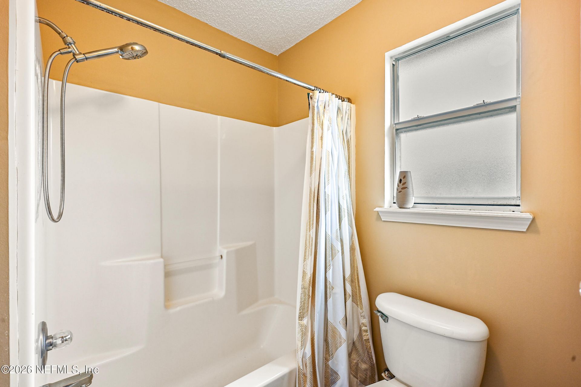 2660 Ravine Hill Drive, Middleburg, FL 32068 Photo