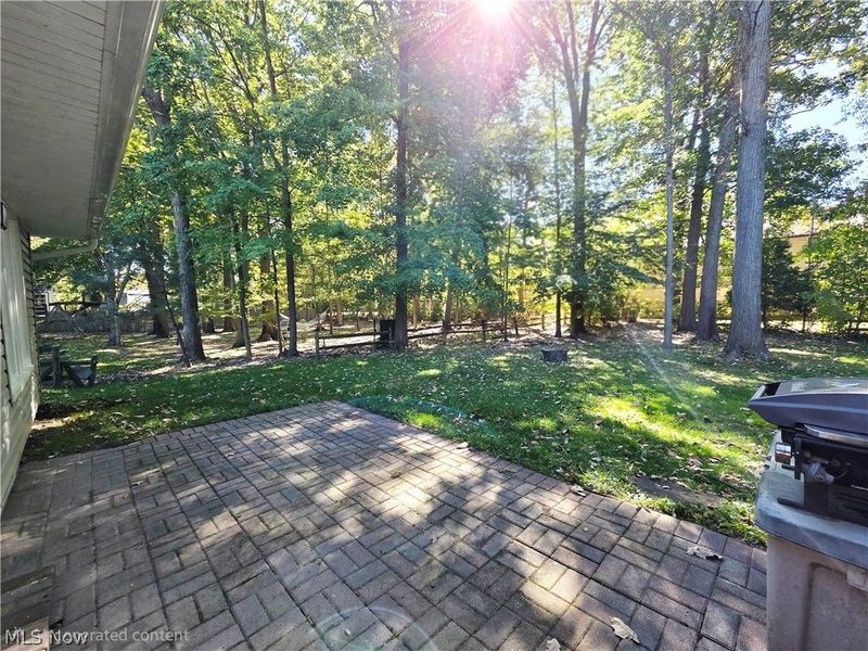 10257 Beaver Trail, Aurora, OH 44202 Photo 28