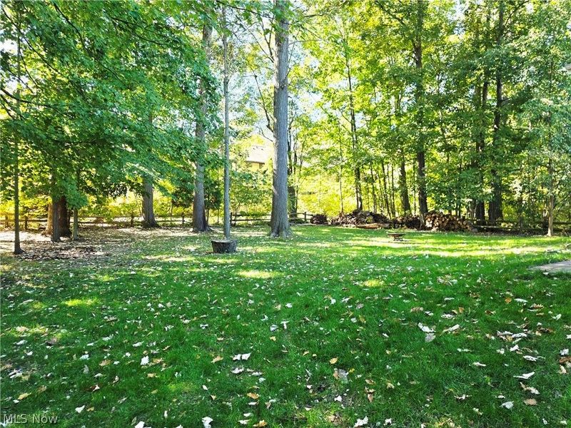 10257 Beaver Trail, Aurora, OH 44202 Photo 29