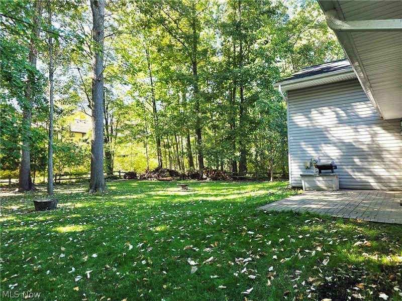 10257 Beaver Trail, Aurora, OH 44202 Photo 30