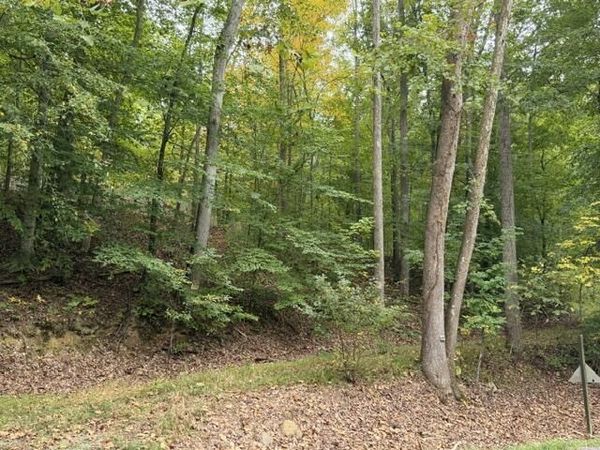 0 Narrow Passage RD , Eagle Rock, VA 24085