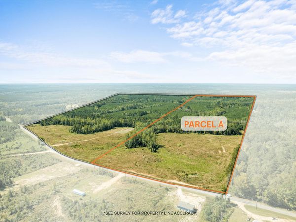 Parcel A Beat 4 Shubuta, Waynesboro, MS 39360