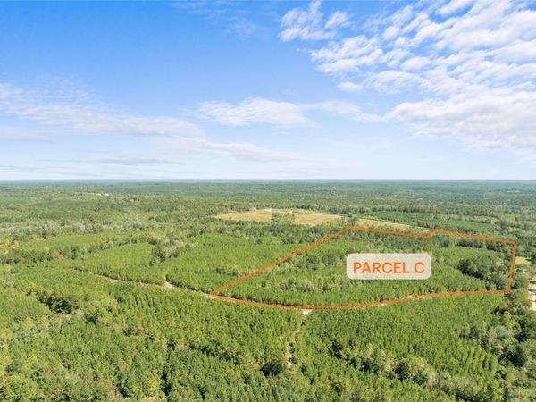 Parcel C Beat 4 Shubuta, Waynesboro, MS 39360