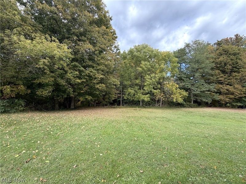 522 N Canal Street, Newton Falls, OH 44444 Photo 3