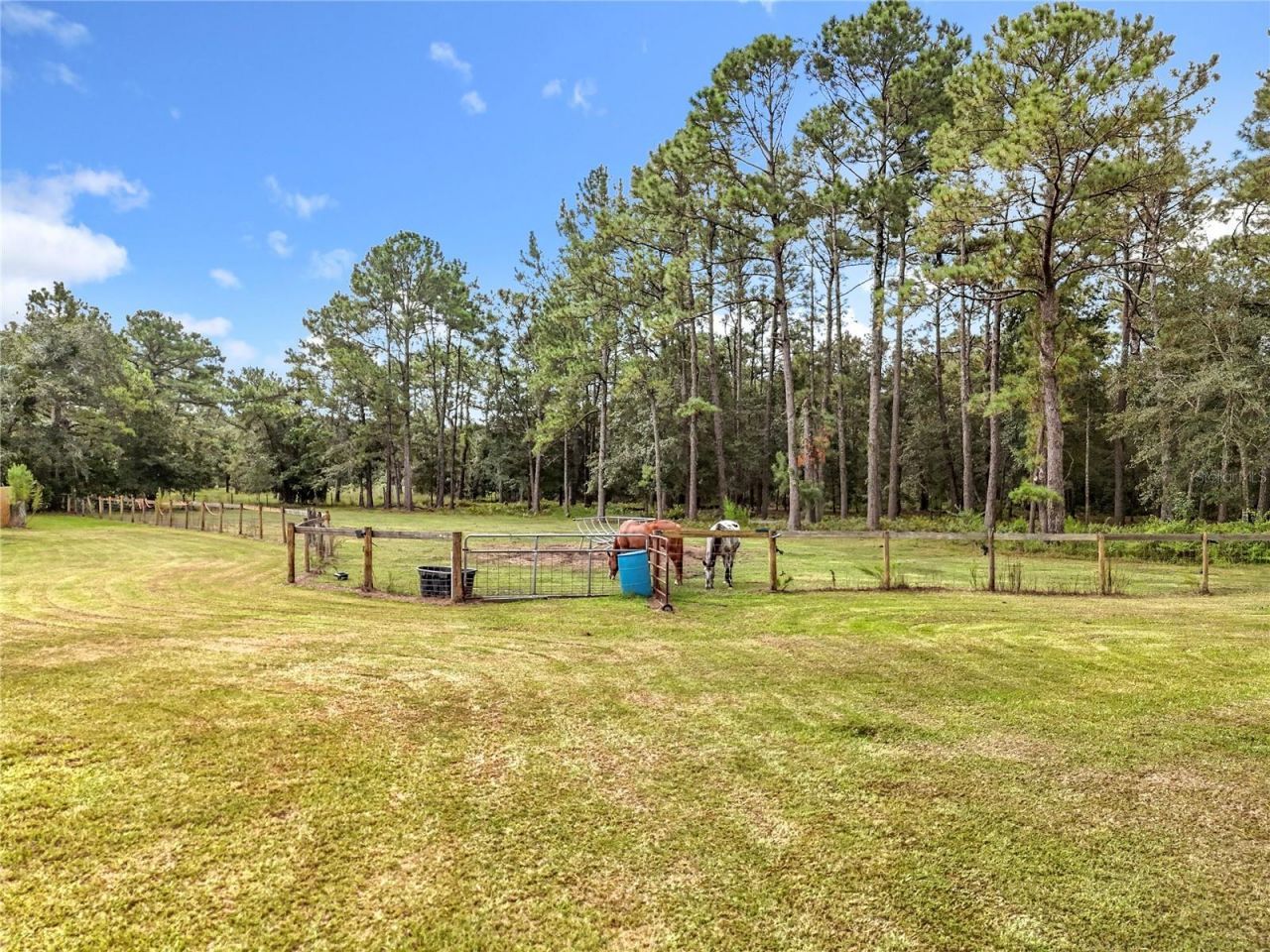21320 Paradise Way , Eustis, FL 32736 Photo