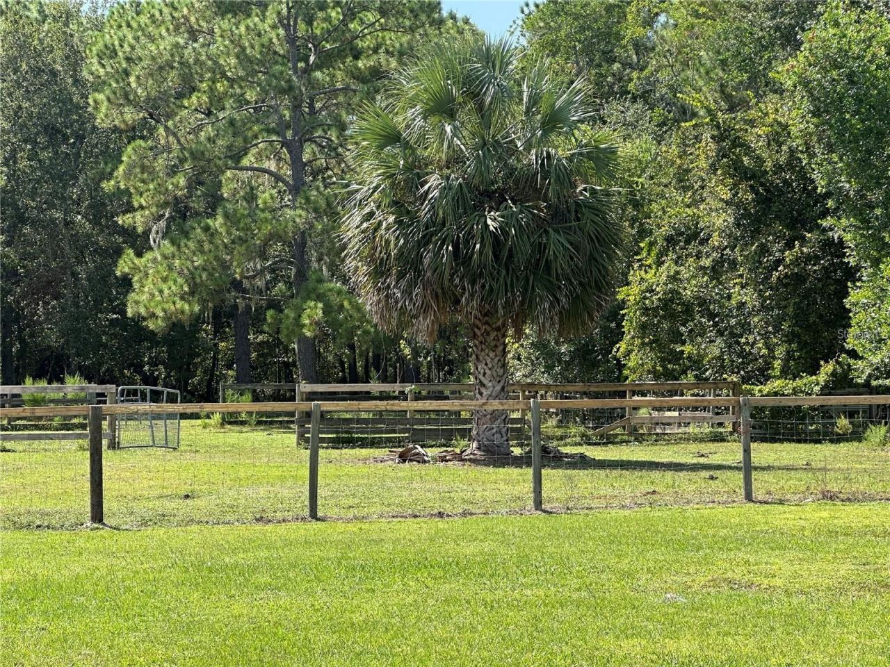 21320 Paradise Way , Eustis, FL 32736 Photo