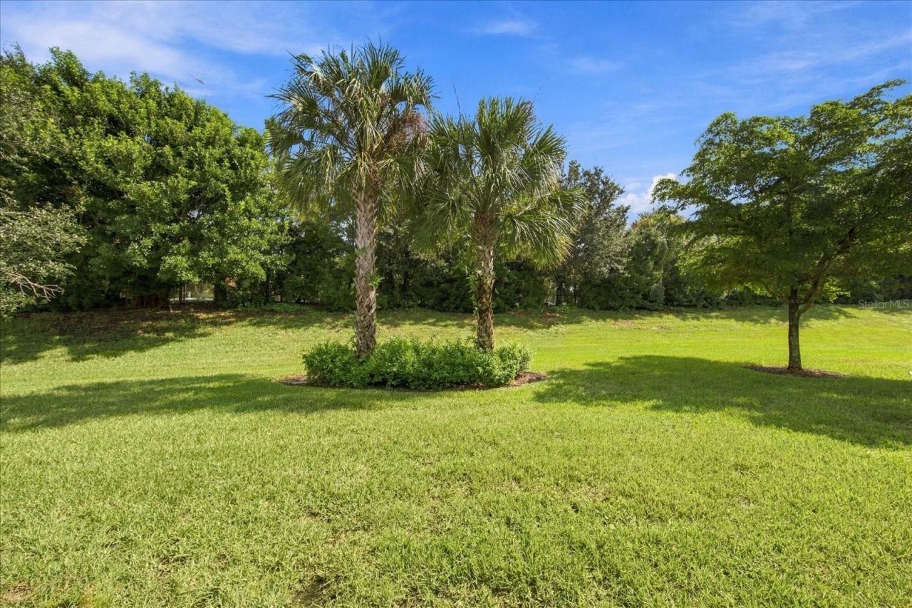 17218 Seaford Way , Lakewood Ranch, FL 34202 Photo