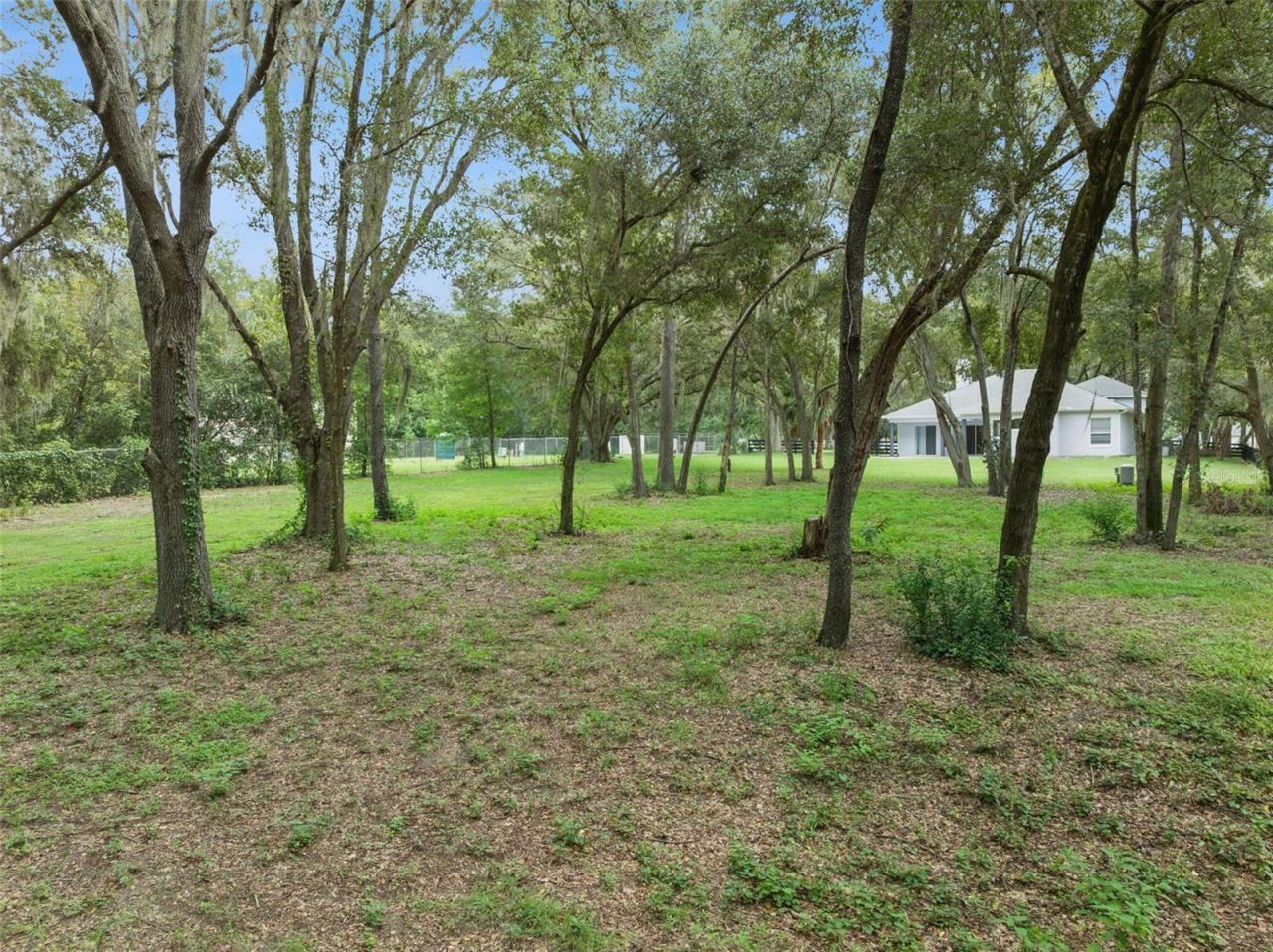 949 Hawk Landing , Fruitland Park, FL 34731 Photo