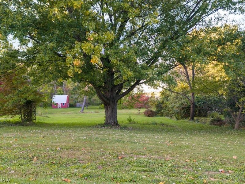 5241 Crestlawn Drive SE, East Canton, OH 44730 Photo 27