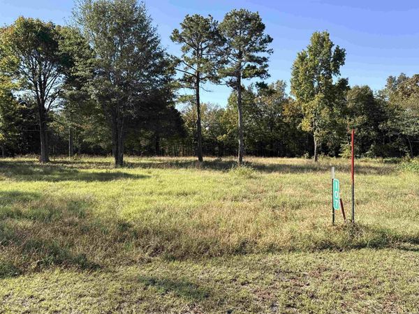 107 Eagle Ridge Dr., Greers Ferry, AR 72067