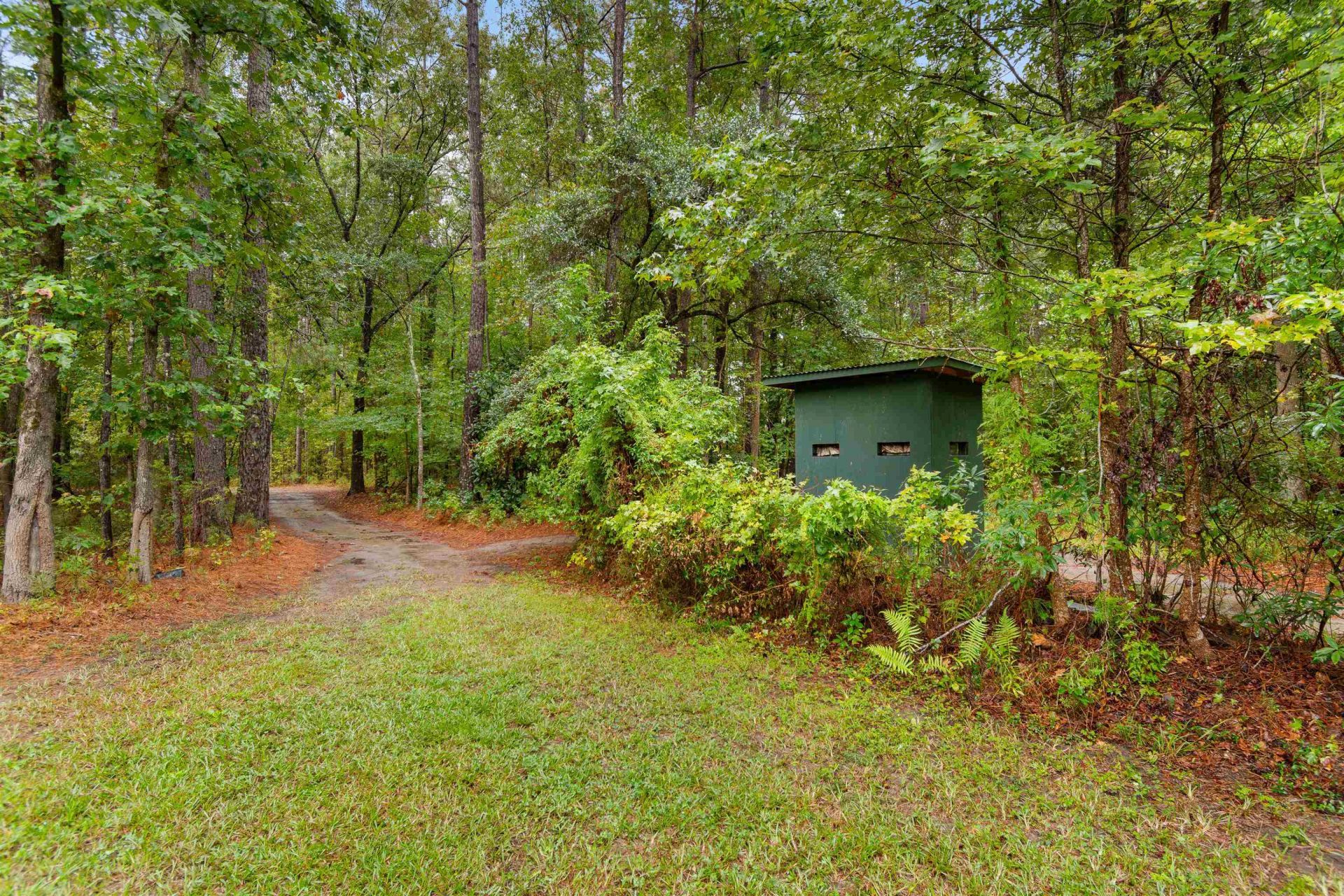 220 Boyd Rd Photo 87