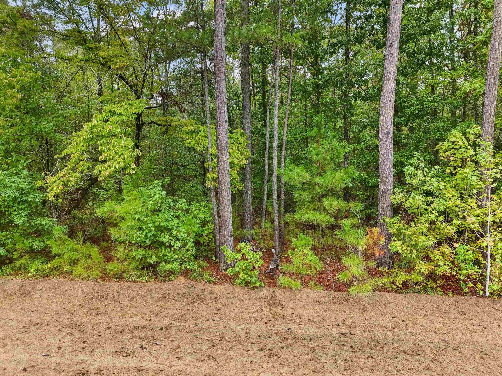 220 Boyd Rd Photo 90