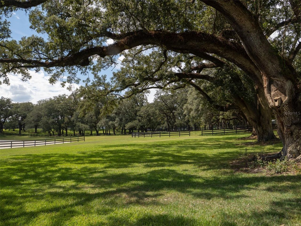 10500 NW 60th Avenue, Ocala, FL 34482 Photo