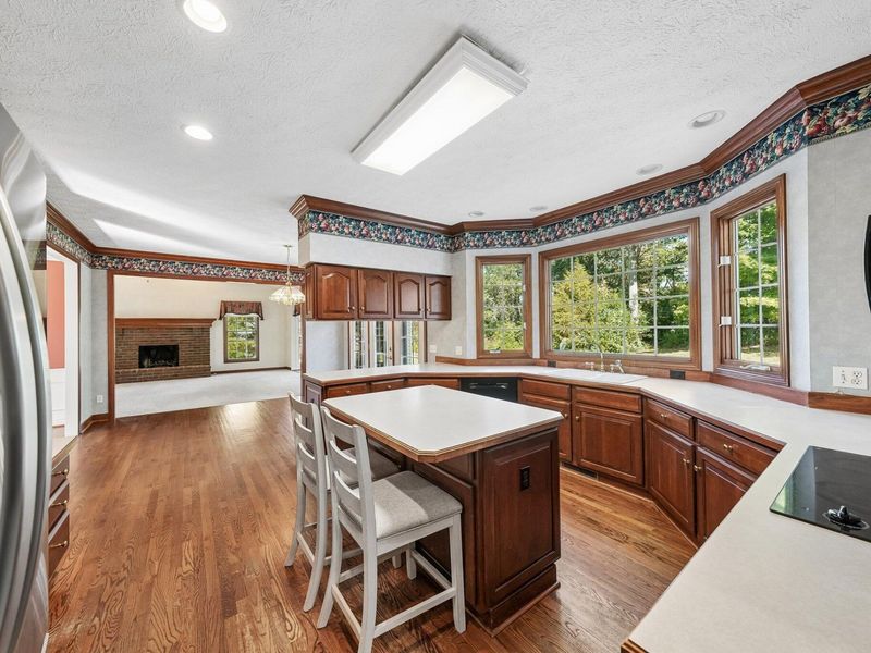 107 Blackberry Drive, Hudson, OH 44236 Photo 14