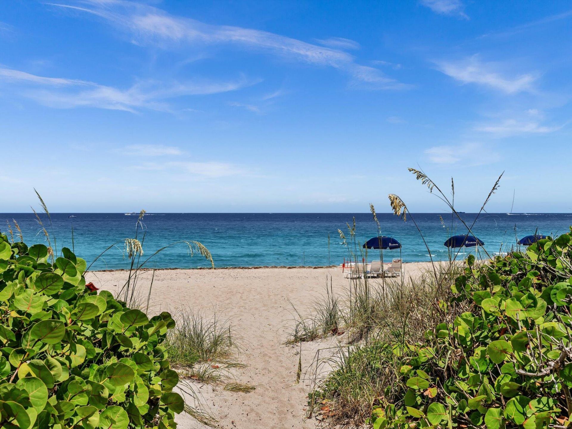 550 S Ocean Boulevard, Unit 2209, Boca Raton, FL 33432 Photo