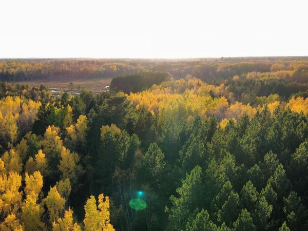 TBD40 Highway 135 N, Tower, MN 55790