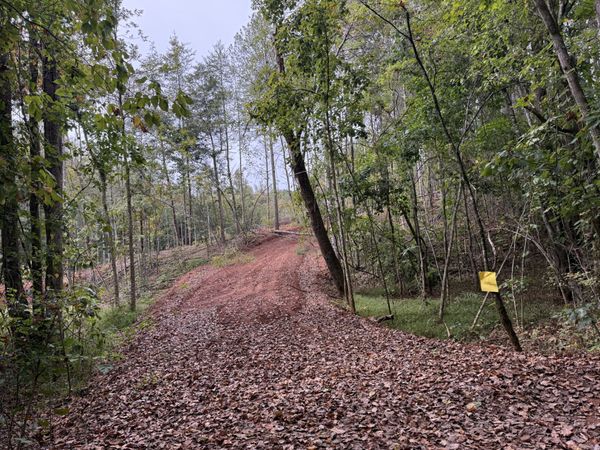 0 County Road 956 , Unit 4, Calhoun, TN 37309