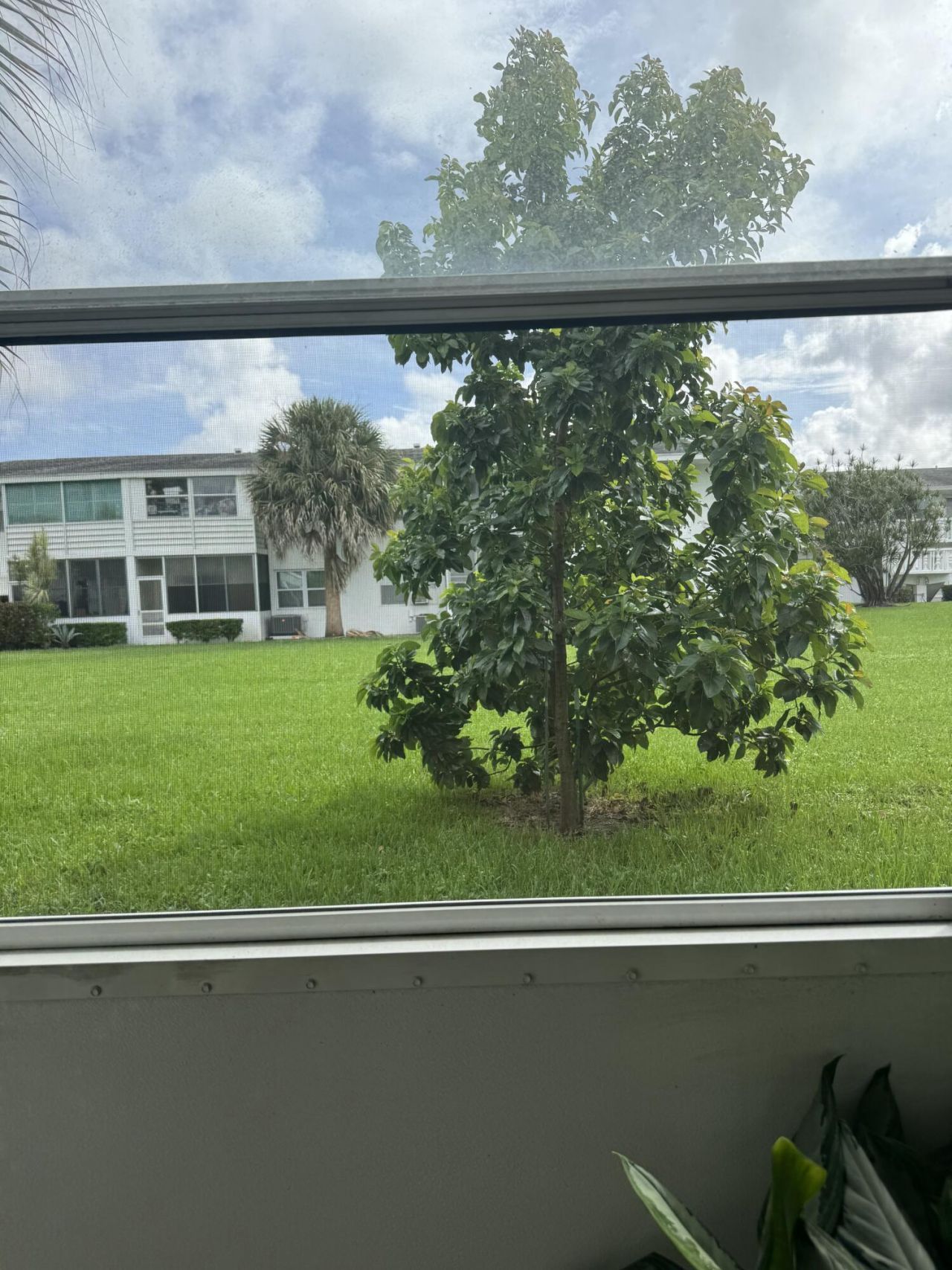 178 Coventry H, West Palm Beach, FL 33417 Photo