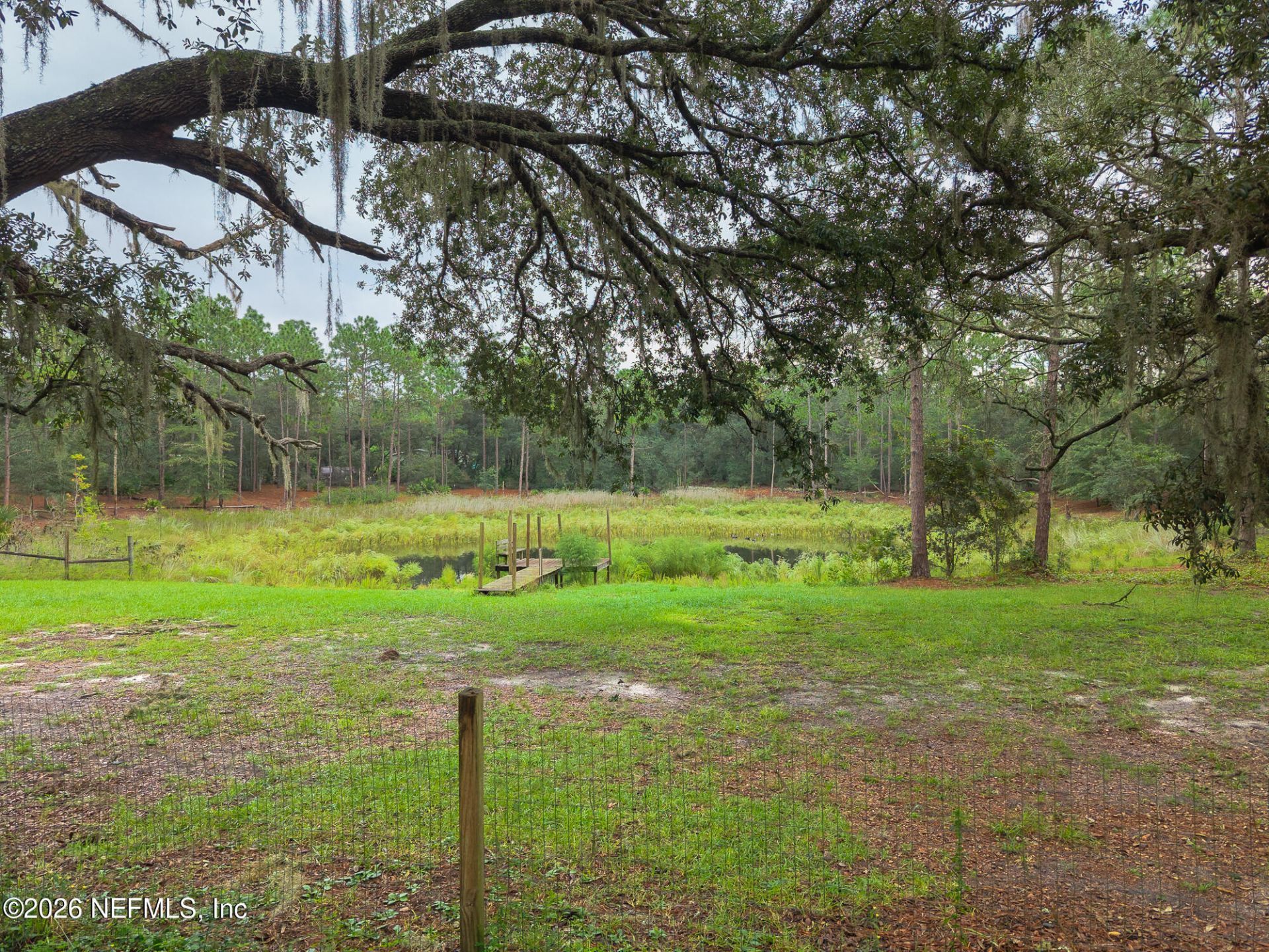 203 Pond Circle, Interlachen, FL 32148 Photo