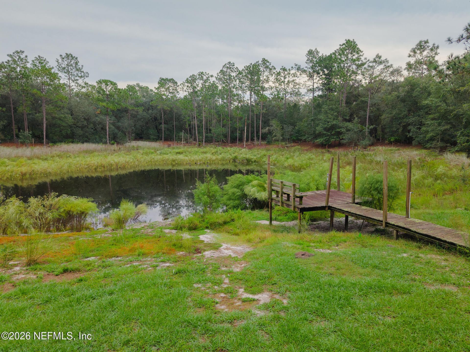 203 Pond Circle, Interlachen, FL 32148 Photo