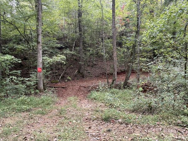 0 County Road 956 , Unit 1, Calhoun, TN 37309