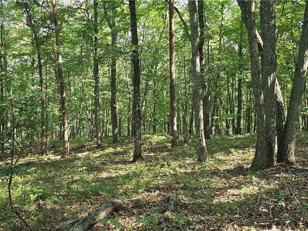0 Firetower Road, Jasper, GA 30143