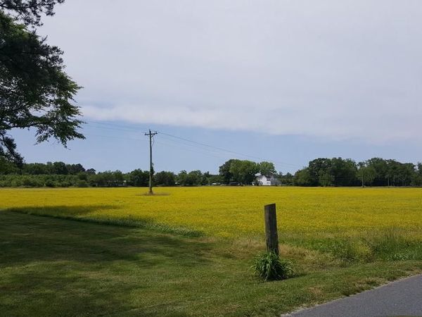 32451 W POST OFFICE ROAD , PRINCESS ANNE, MD 21853