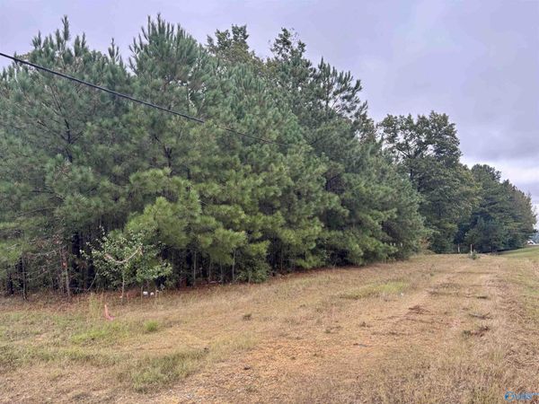 2.27 acre Highway 231, Arab, AL 35016
