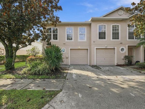 9951 ASHBURN LAKE DRIVE , TAMPA, FL 33610