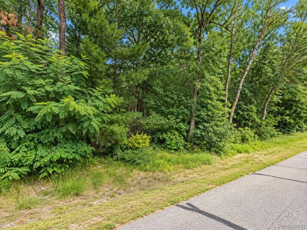 0 Guthrie Street , Baldwin Village, Mi 49304