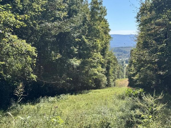 00 Mountain View Drive, Whitwell, TN 37397