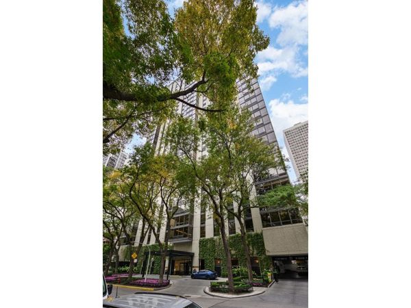 100 E Bellevue Place , Unit 6A, Chicago, IL 60611