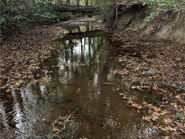 0 County Road 93 Road, Bankston, AL 35446