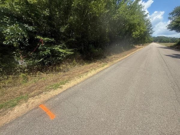 TRACT 4 COFFEE LANDING RD, Savannah, TN 38372