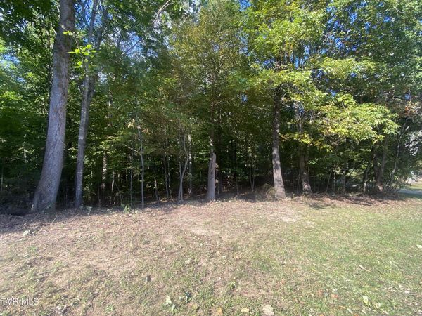 139 Allison Timbers Road, Piney Flats, TN 37686