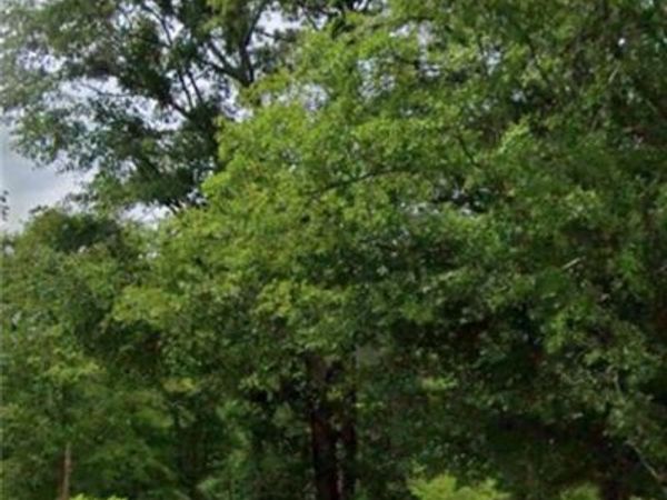 133 Smith Drive, Jenkinsburg, GA 30234