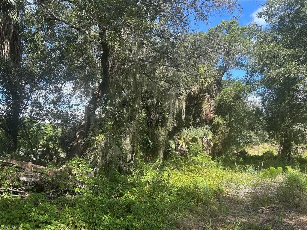 15181 Cemetery Rd , Fort Myers, FL 33905 Photo