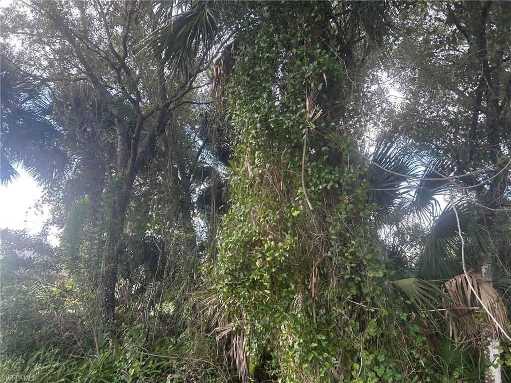 15181 Cemetery Rd , Fort Myers, FL 33905 Photo