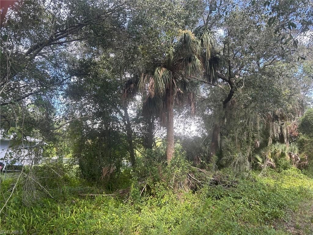 15181 Cemetery Rd , Fort Myers, FL 33905 Photo
